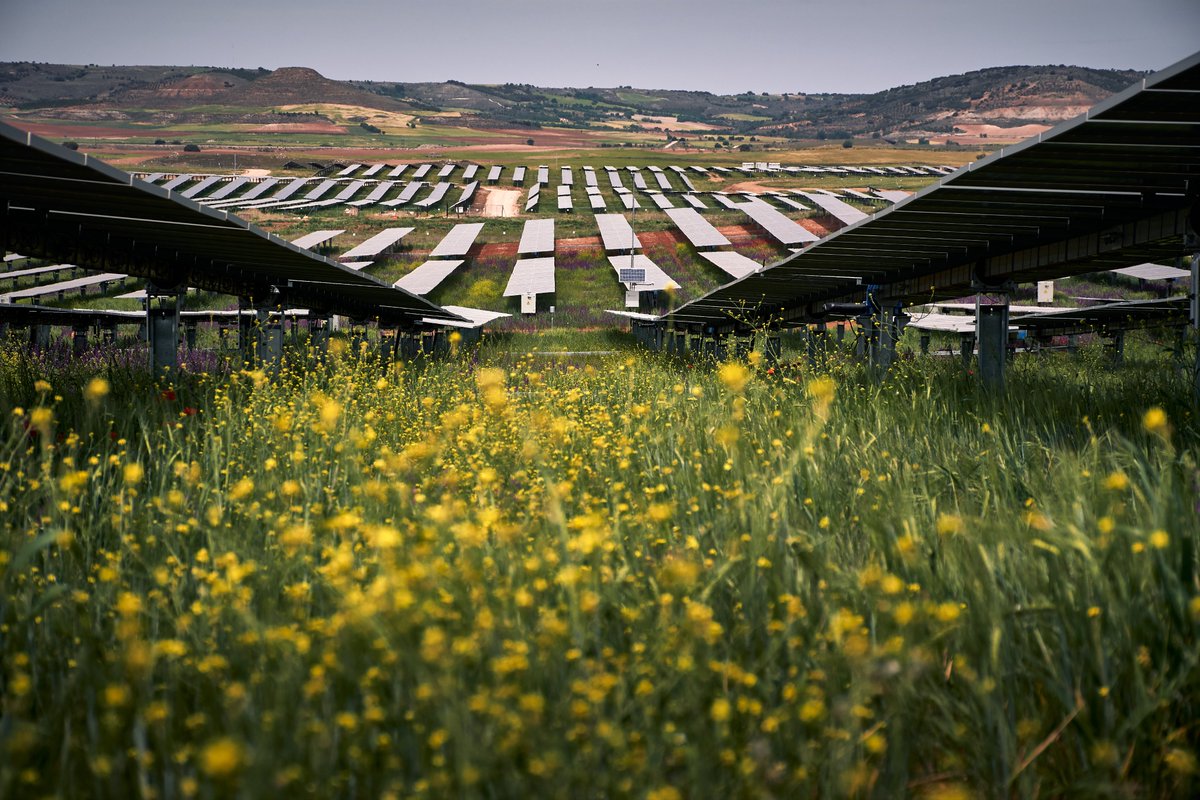 CastanonAlvarez's tweet photo. Vamos a intentar revalidar el concurso #PHOTOvoltaica2023 organizado por @UNEFotovoltaica https://t.co/8XgG3cAzLa