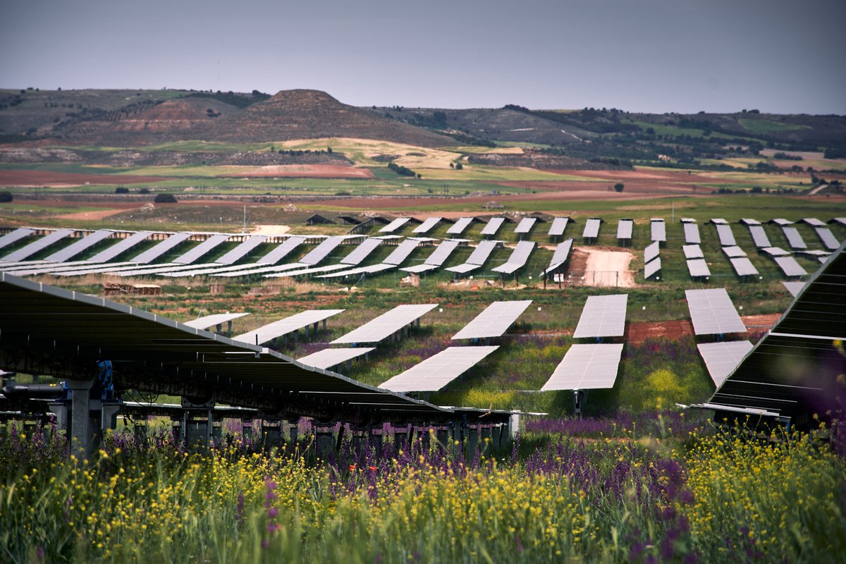 CastanonAlvarez's tweet photo. Vamos a intentar revalidar el concurso #PHOTOvoltaica2023 organizado por @UNEFotovoltaica https://t.co/FKJoA8B5uP
