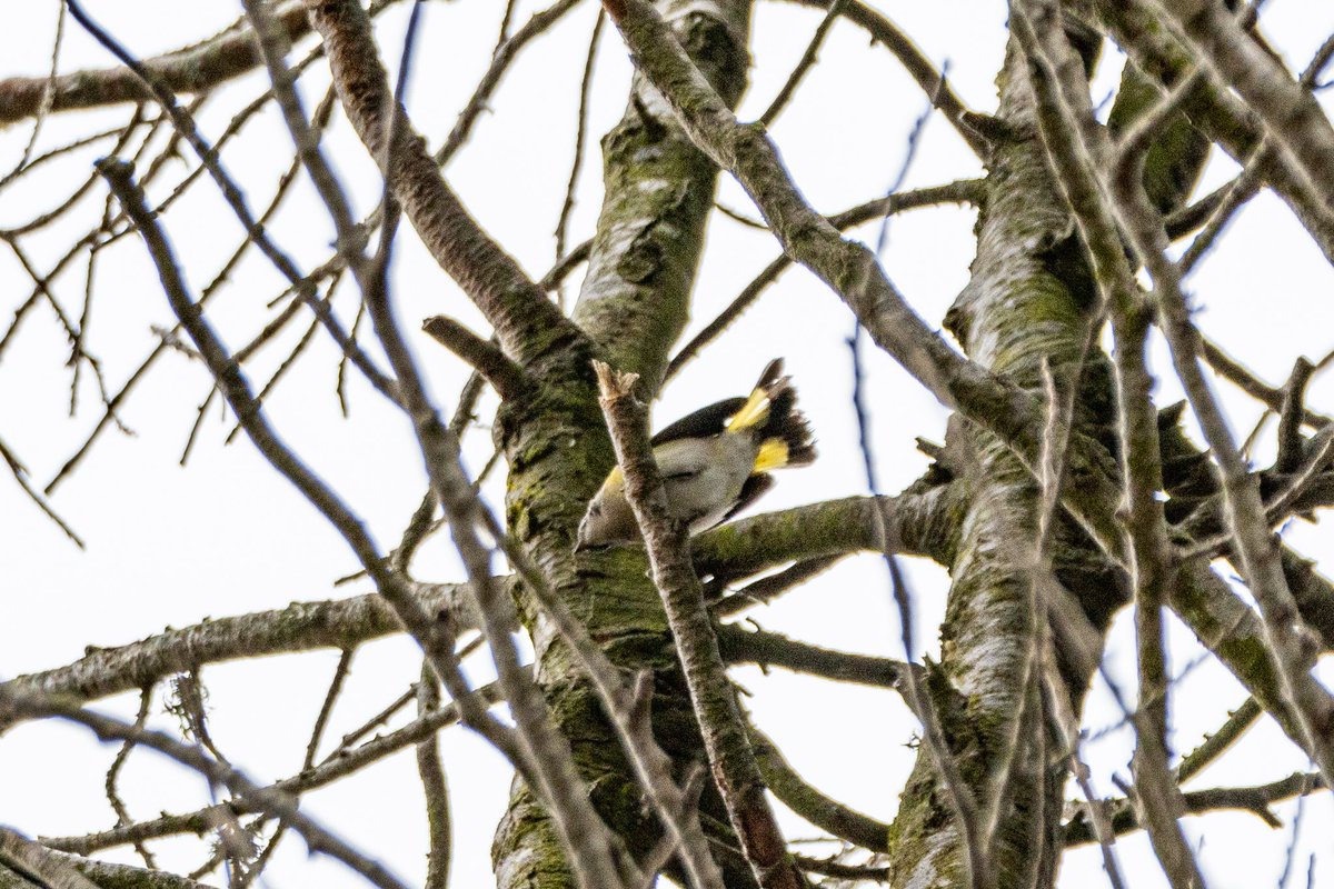 Anna Klafter tweet media