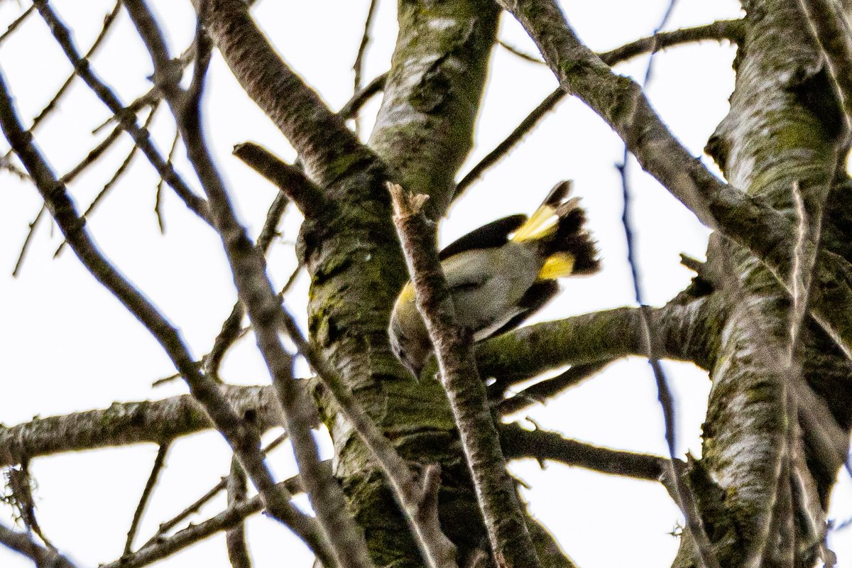 Anna Klafter tweet media