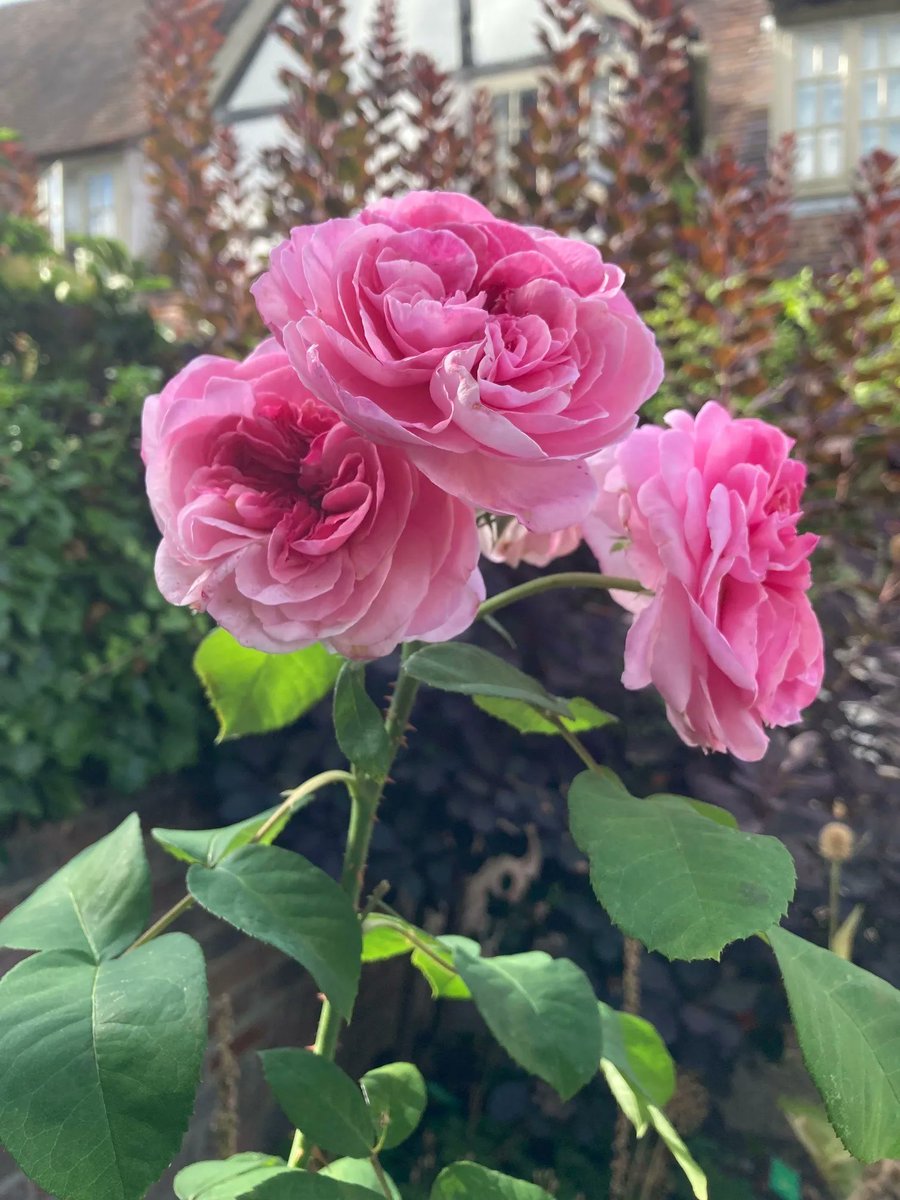 John Moore Museum tweet media