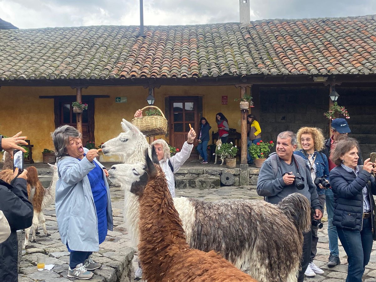 XclusiveEcuador's tweet photo. Our clients from Portugal enjoy a visit to an old Andean hacienda in Ecuador near Cotopaxi volcano. The hacienda San Augustin del callo dates back to Inca’s times and now is open as a luxury hotel. They are playing and feeding llamas as can be seen #ecuadorluxurytour #ecuadorDmc https://t.co/t9WdX0FWDs