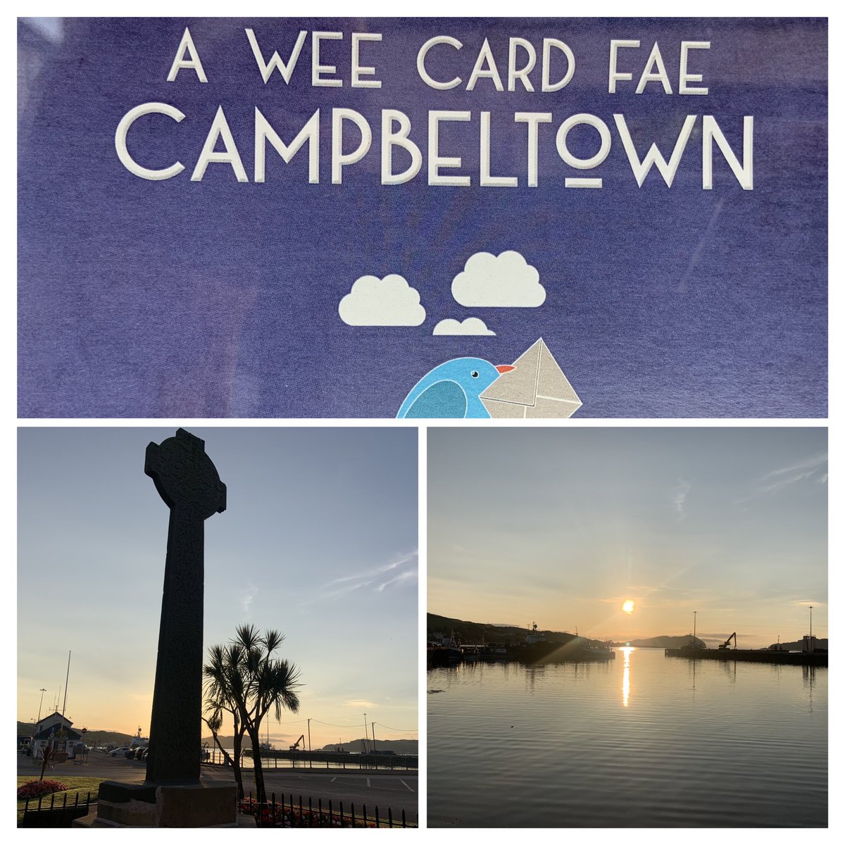 IWTRotary tweet media