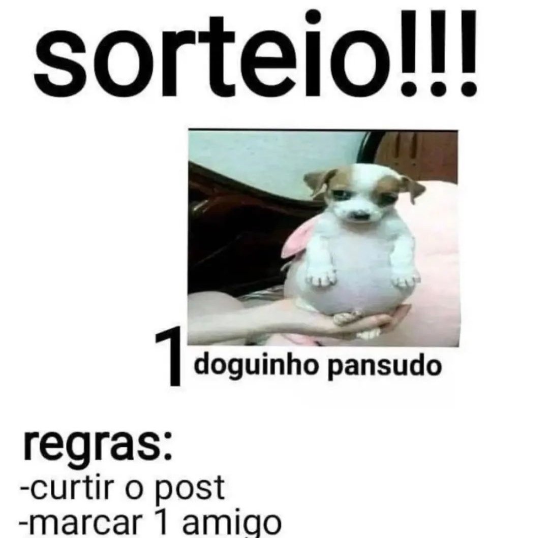 Shitpost só que de verdade tweet media