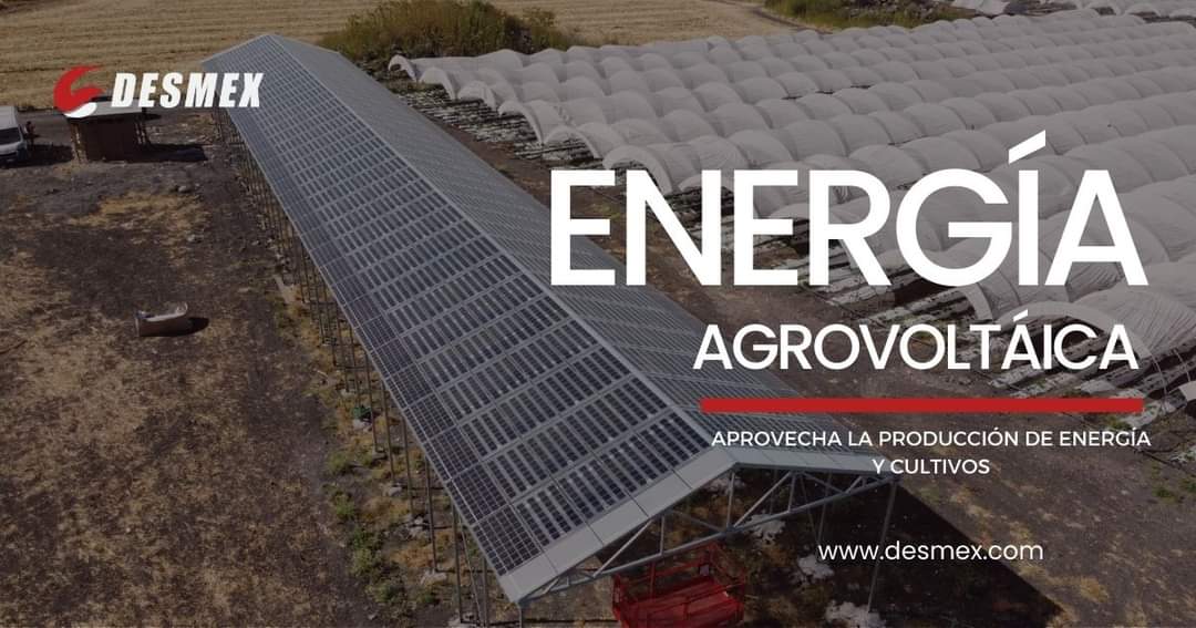 ¡Contáctanos para más información y sé parte del cambio!
477 788 06 06
miguel.villegas@desmex.com
#energiaagrovoltaica #sostenible #agriculturasustentable #panelessolares