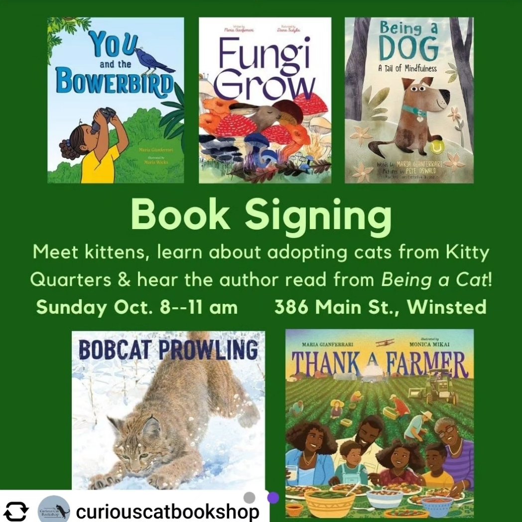 Sun 10/8: cuddle w/ adoptable #kittens from #KittyQuarters #catrescue, a reading of BEING A CAT 🐈 at @curiouscatstore in Winsted, CT + a fundraiser to support Kitty Quarters' good work Art by @peteoswaldart @HarperChildrens @HarperStacks 😻🐈‍⬛😺