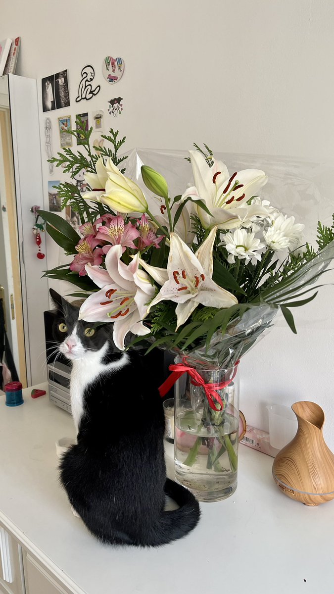 mi novio me ha dado el ramo d flores más bonito del mundo…🙈💐💌🧸🎀