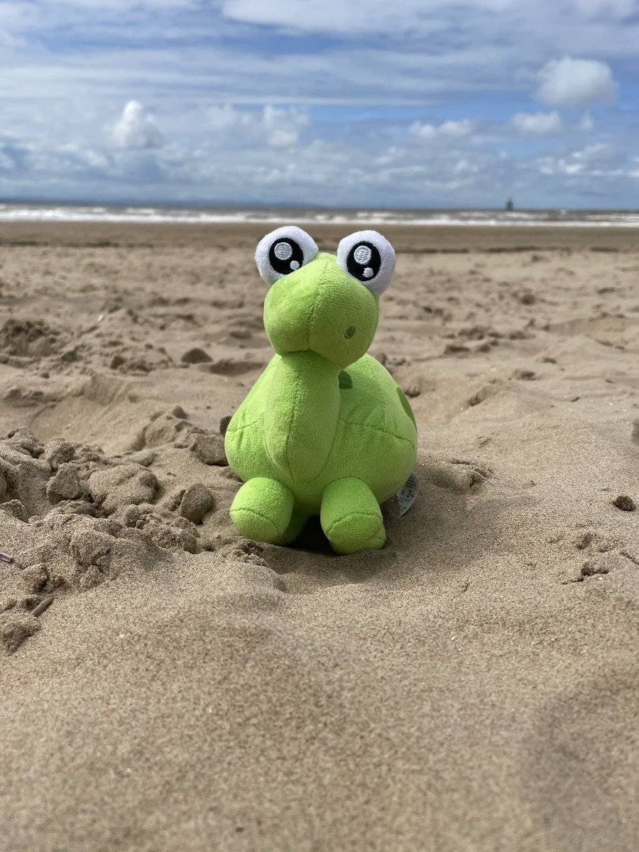 JeffkinneyO's tweet photo. @WhiteRoseEd Year 3 at @school_oakfield love Tiny! He even made it on a trip to the beach last term. https://t.co/9ZGRVAgXnB
