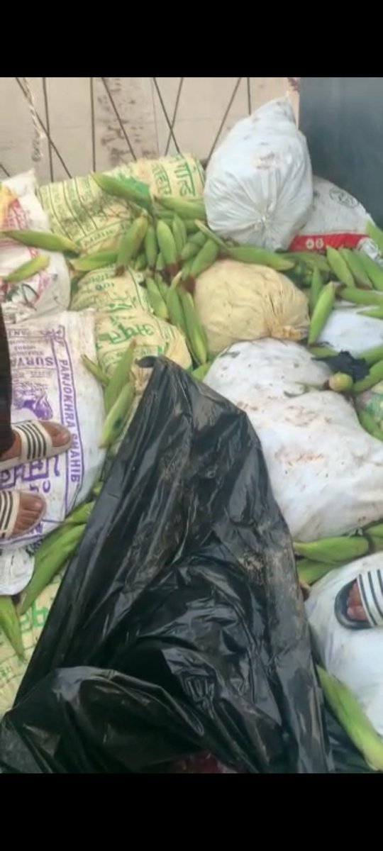 Monu Manesar (सनातनी) tweet media