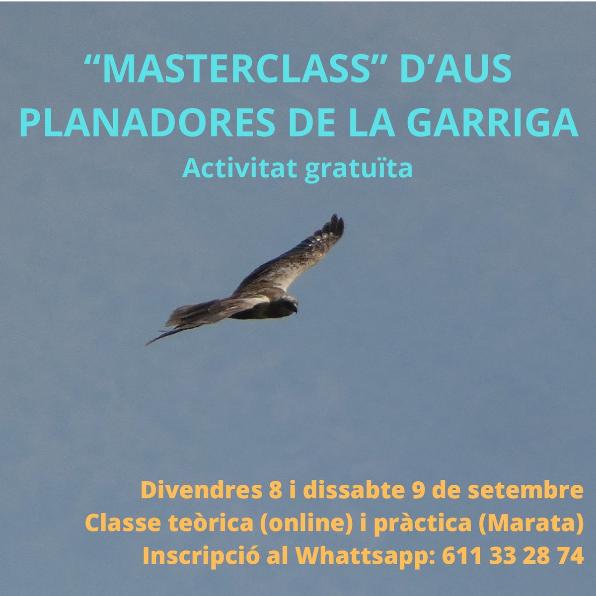 Masterclass per aprendre a identificar diverses aus planadores presents al nostre municipi. Consta d'una classe teòrica online i una altra pràctica a Marat! L'any passat vam poder veure bastants rapinyaires i fins a tres cigonyes negres! Apunteu-vos-hi!😜