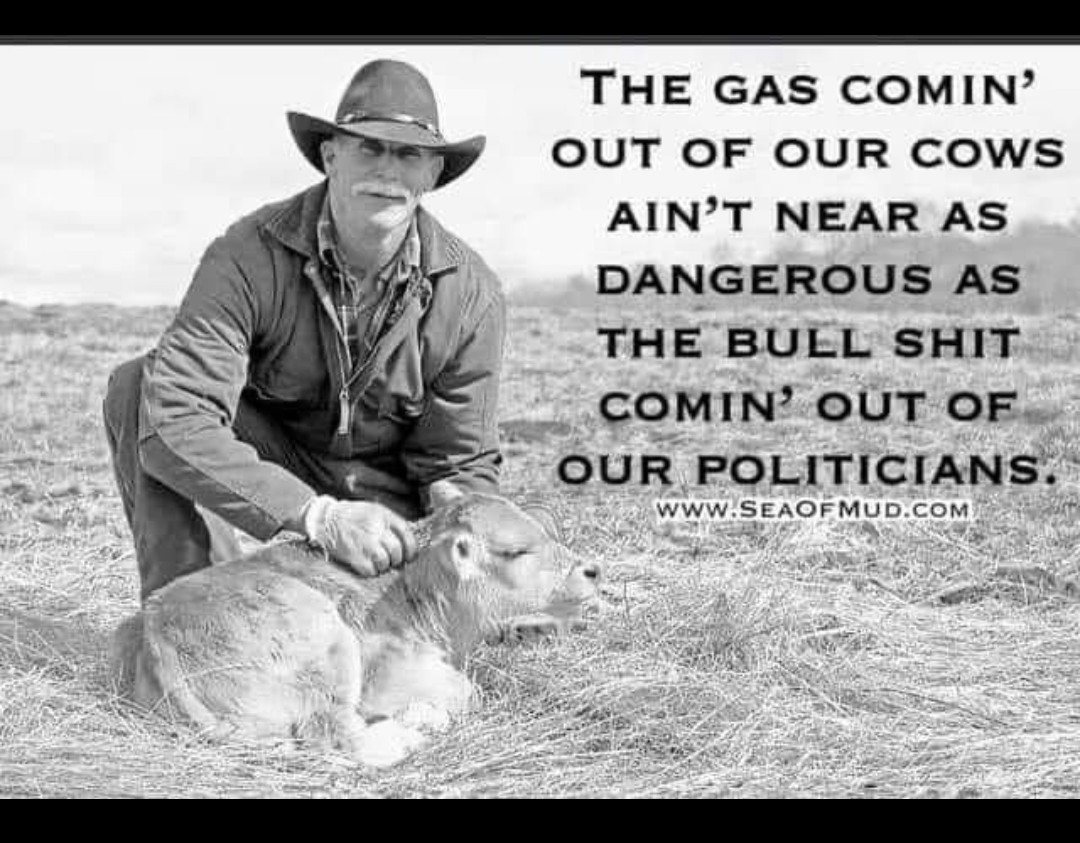 Angie Bass (@ambassgirl1967) on Twitter photo 