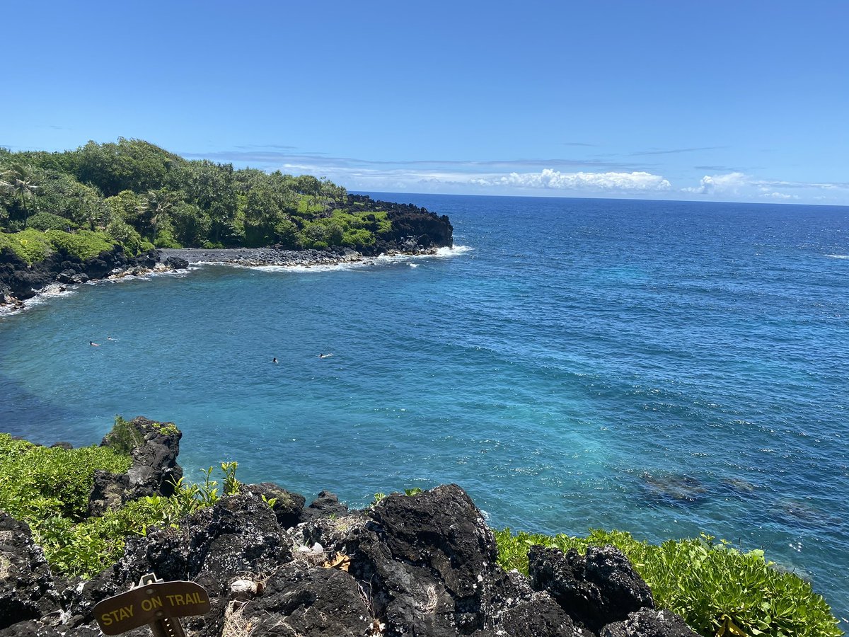 🚨 NEW BLOG ALERT 🚨 

Thinking is like the Road to Hana! 

jtthinks.com/blog-1/thinkin…

#jtthinks #knowdat #blog 🙏🏽🔥🙌🏽