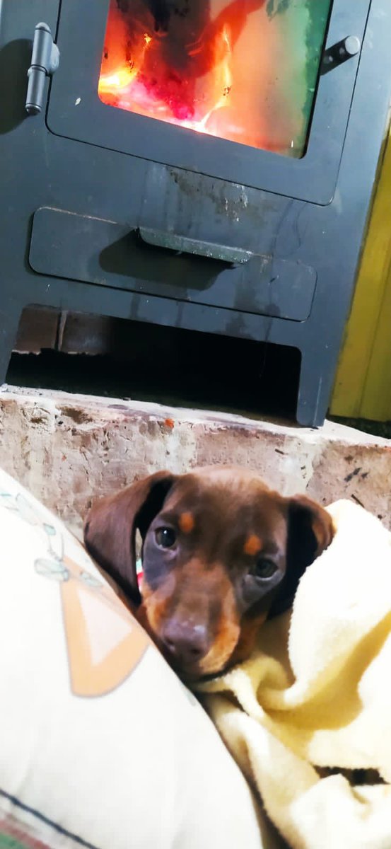 Chamaco 🇦🇷 tweet media