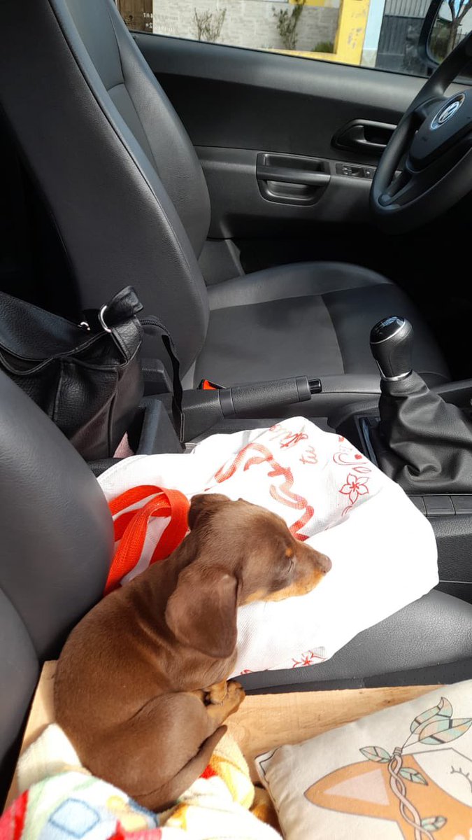 Chamaco 🇦🇷 tweet media