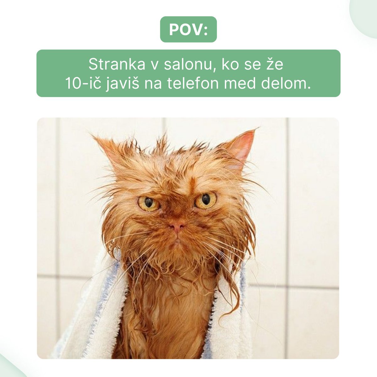 lime_booking's tweet photo. Z uporabo sistema za spletno naročanje Lime Booking se lahko izognete temu, da bi telefon zazvonil še 11-ič. 😁

Več informacij na: https://t.co/2Ru61kimh5 https://t.co/xTFe7tuhd4