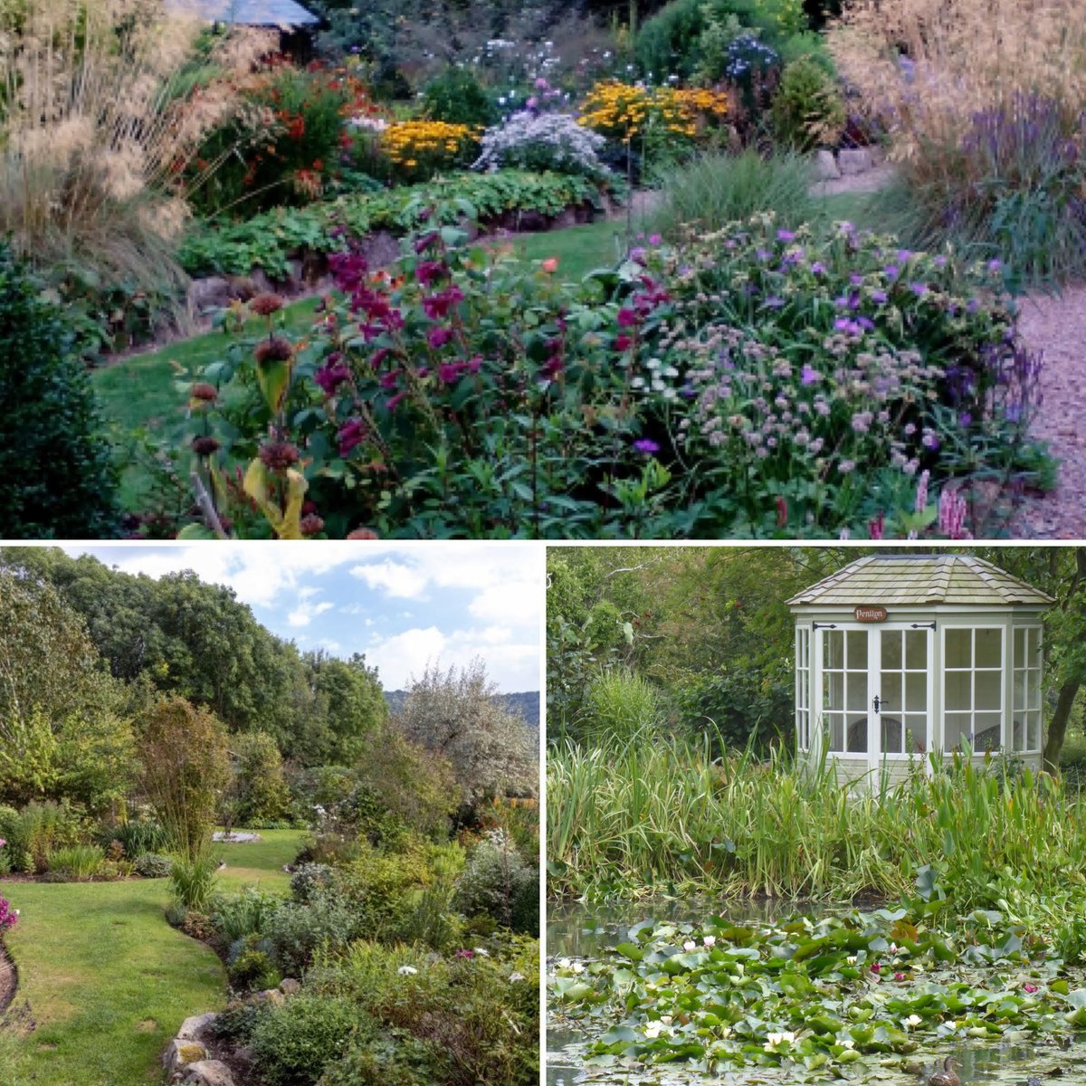 We've got three lovely late summer gardens for you to visit this weekend. Clouds Rest and The Patch, both at Brockweir, and Trench Hill at Sheepscombe will all be open on Sunday September 10. More details on the website: ngs.org.uk