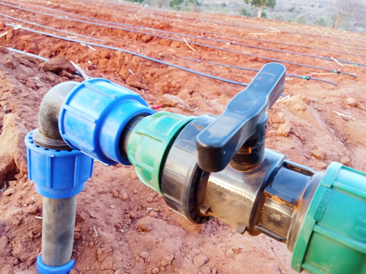 netiaX_ke's tweet photo. 6 Reasons for using Button Dripper irrigation system 

1.Easy to irrigate 

2.The system can be used to apply nutrients .

3.Lowers water pumping cost.

4.Saves water.

5.Saves time.

6.Saves operational labor cost https://t.co/bgvMpn0J8i