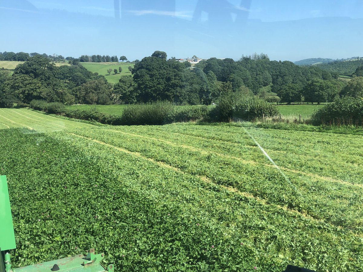NeilDav87's tweet photo. One last run for the mowers as #harvest23 comes to a close for us here in the hills of Llangammarch and what an evening for the job ☀️👌#grasstobeef #redclover #3rdcut @HefinR @precisionsarah https://t.co/i6PjH85yGN