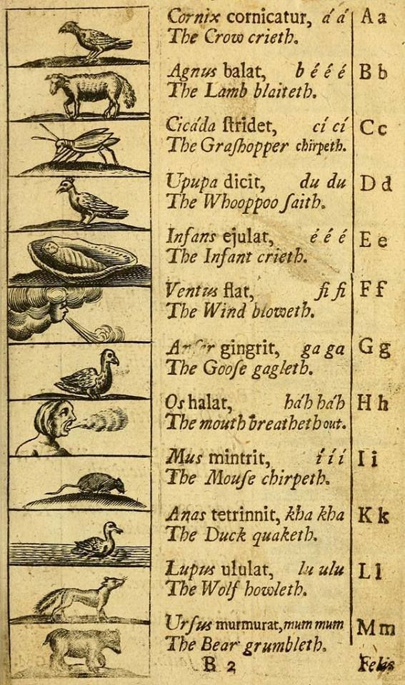 PublicDomainRev's tweet photo. "The Duck quaketh... The Wolf howleth" — from what many consider to be the first picture book for children, Orbis Sensualium Pictus (1658). More in our essay here: https://t.co/Md4eTvbDmN https://t.co/2rcS1gX8OI