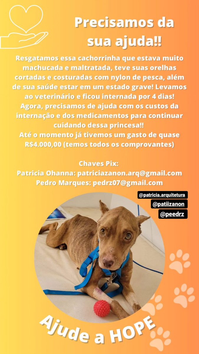 peedrz's tweet photo. Oi amigos, resgatamos esse neném e precisamos muito de ajuda com os custos, exames etc!! Quem puder dar um RT, divulgar ou ajudar, agradeço demaissss https://t.co/B63XcRe3Wv