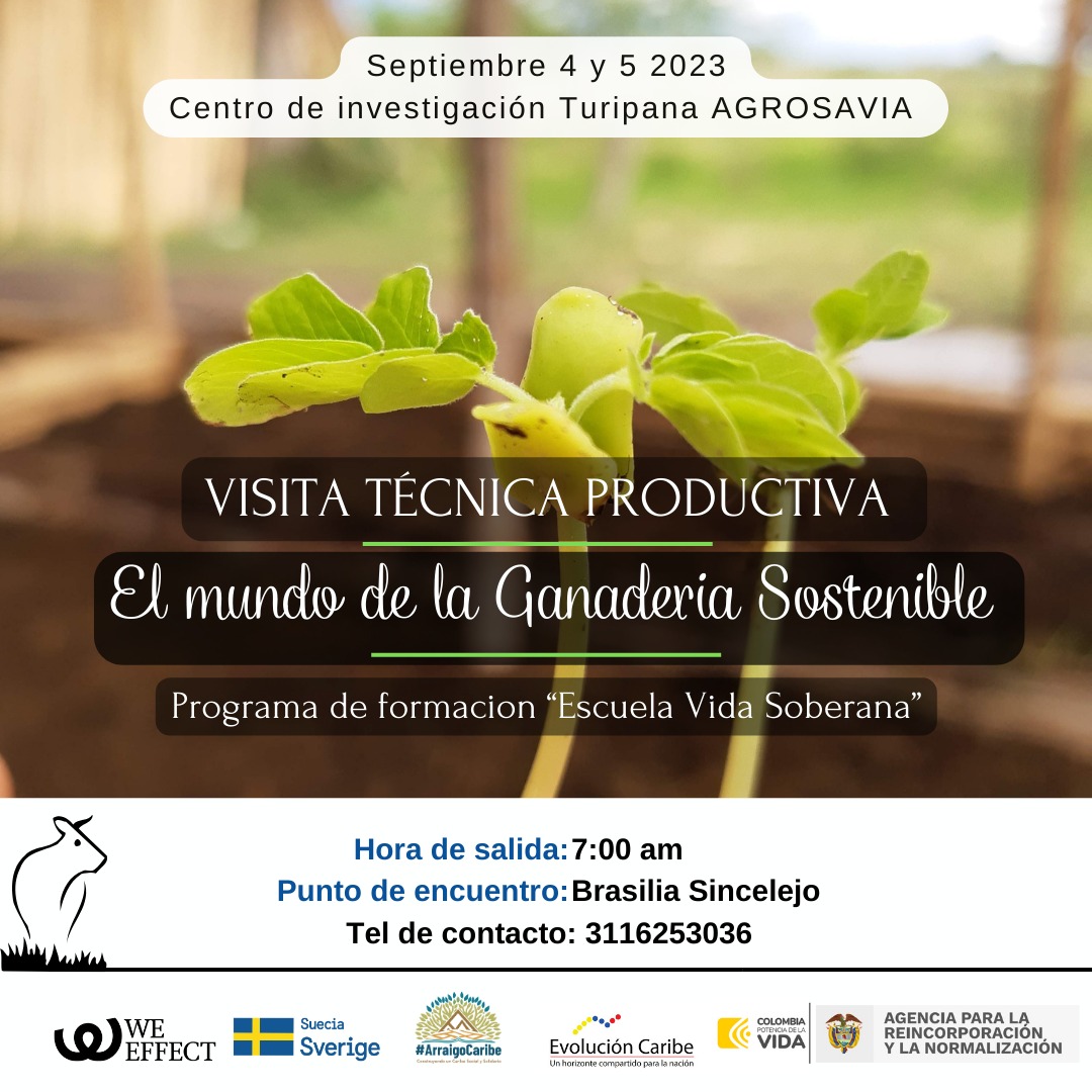 We Effect América Latina tweet media