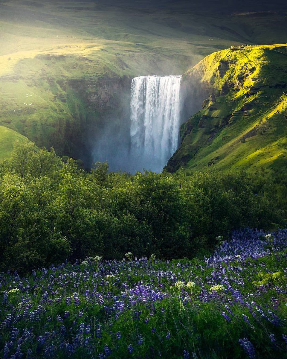 Last days of summer ⛅️

#iceland