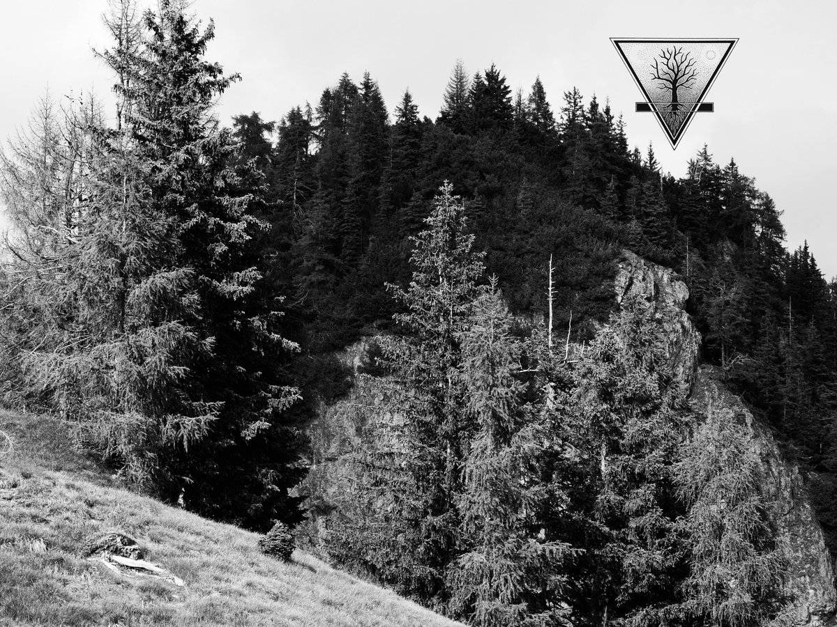 bmnature's tweet photo. The latest work. Listening to Morast.
#morast #blackmetal #blackmetalnature #nature #forest #dark #darkness #extrememetal #backtonature #blackandwhite #blackandwhiteart #art #photoart #photoartist #blackandwhitephotography  #blackandwhitephoto https://t.co/ylmJUaoIzF