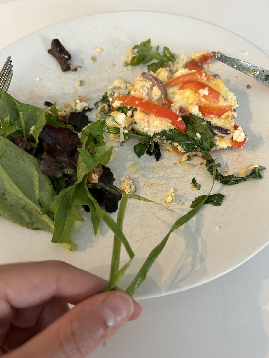 jensoir's tweet photo. @Tesco just found three blades of grass in my bagged salad, part way through eating said salad https://t.co/DghyE0sSHF