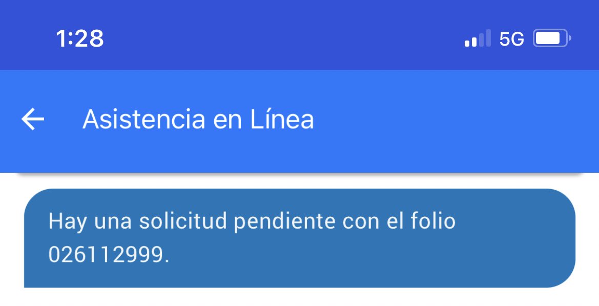 amalia ortega tweet media
