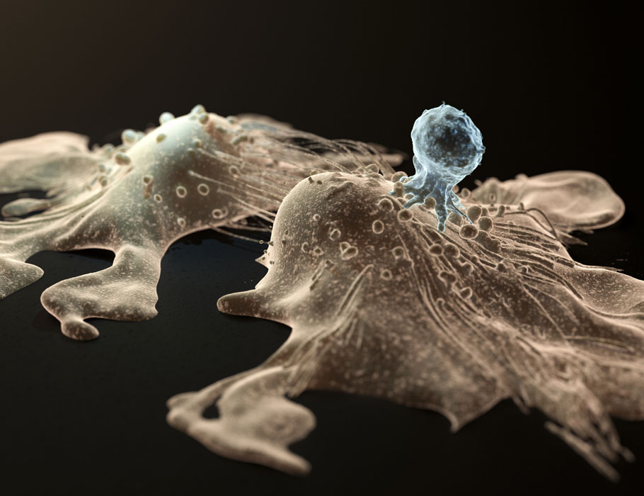 Science Immunology tweet media