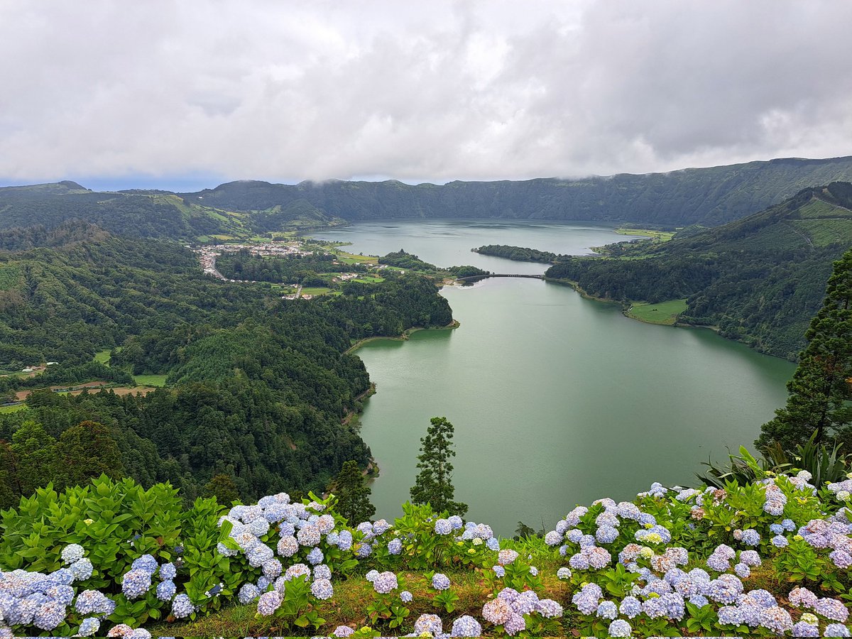 Mrs. Ryan tweet media