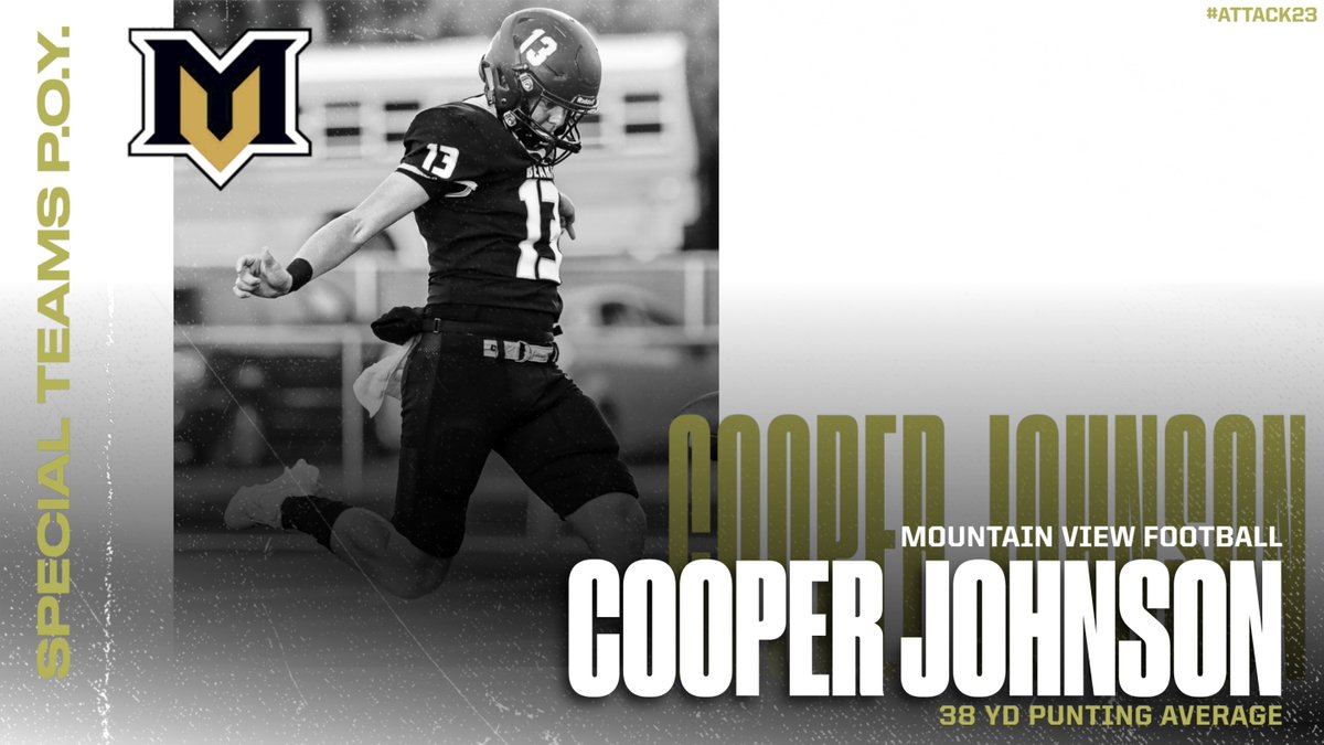 Mountain View Bears Football tweet media