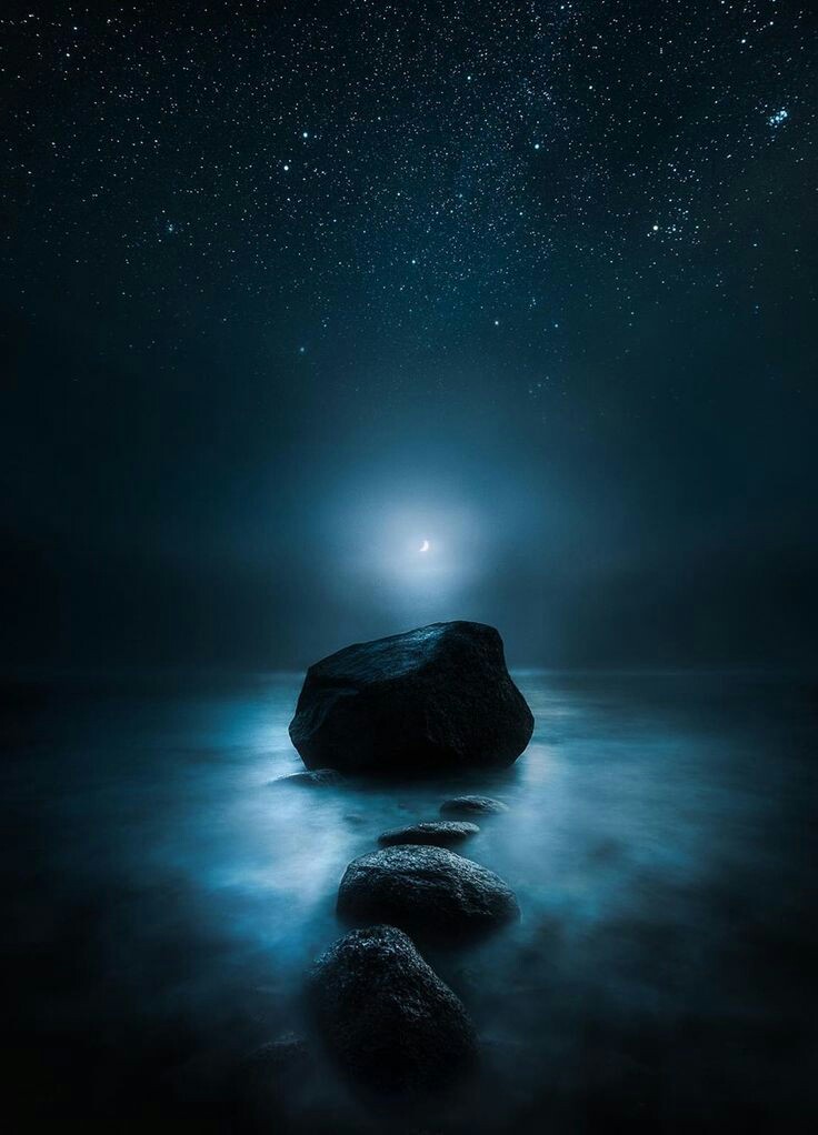 🌜moonlight🌛 tweet media