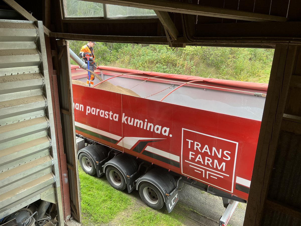 SonjaMartikaine's tweet photo. Maailman parasta kuminaa meidän perheeltä maailmalle tänään. Tämäkin satokausi on takana kuminan osalta. Kiitos yhteistyöstä #transfarm @j_leppala #erikoiskasvi #kumina #sadonkorjuu 🧡 https://t.co/fLYx5EId46