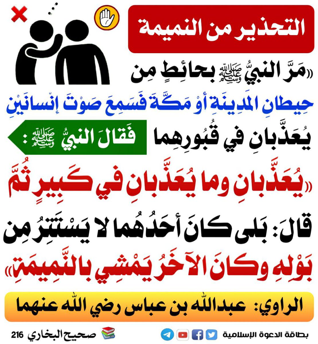 🥀🌷🌲🌹بناتي حياتي🌹🌷🌲🥀 tweet media