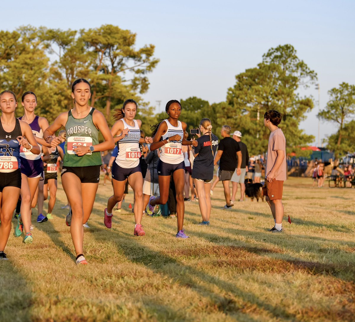 Stephanie Ojo tweet media