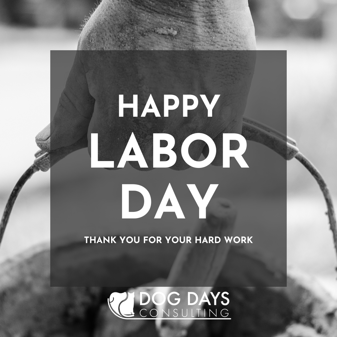 Rhonda Bell (@rhondabcvpm) on Twitter photo 