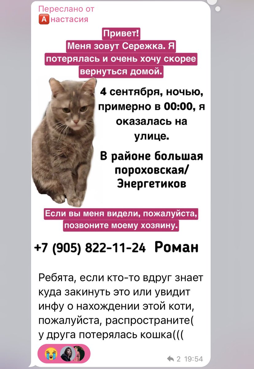 Питер, котик потерялся!!!!! репостните, пожалуйста!

контакты хозяина:
89058221124 Роман