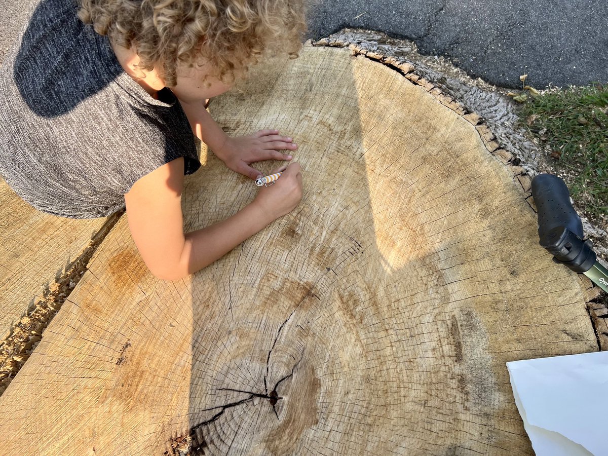 ErinSandersNP's tweet photo. Goodness, my heart. This kid makes me laugh so hard. Being his mama has made me a better human. I am trying to lovingly teach him everything I can. So many lessons, so little time. Our town had cut down a #MotherTree near us & we counted her rings. She was 108! 🌳@DrSuzanneSimard https://t.co/hJUOjhhfHA
