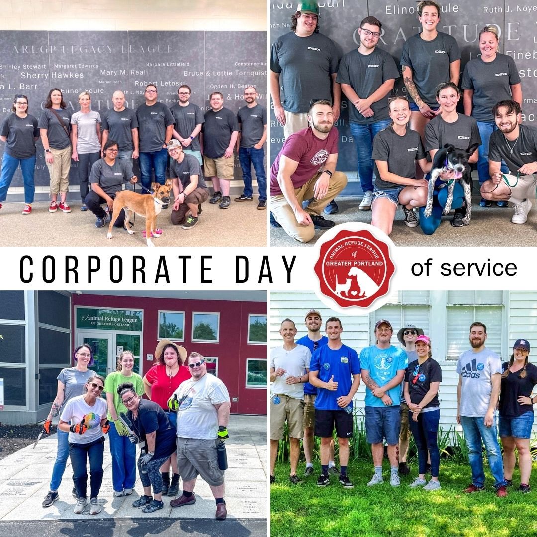 In honor of Labor Day today we are thanking <a href="/IDEXX/">IDEXX</a> , <a href="/MP_HealthCare/">Martin's Point Health Care</a> &amp; <a href="/WMTWTV/">WMTW TV</a> for taking part in our Corporate Day of Service Program! These employees gave their time to help support our life-saving work here at the ARLGP — we can’t thank them enough! 

arlgp.org/volunteer/corp…