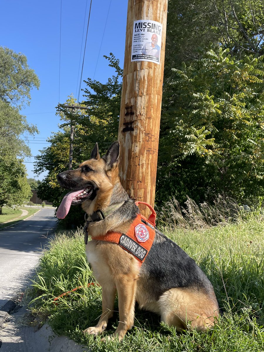 DCSO - Omaha, NE tweet media