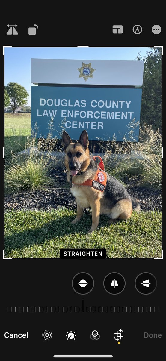 DCSO - Omaha, NE tweet media