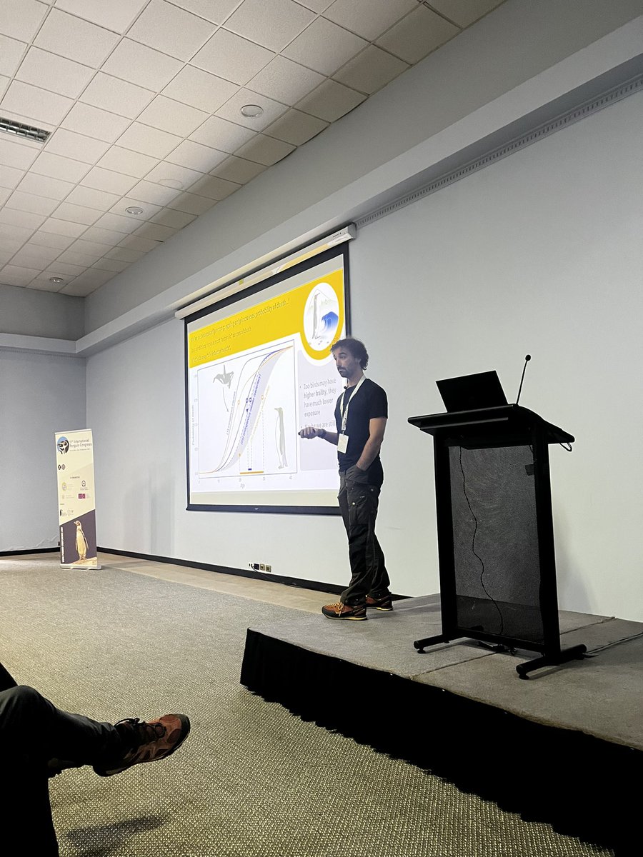 Juliana Vianna tweet media