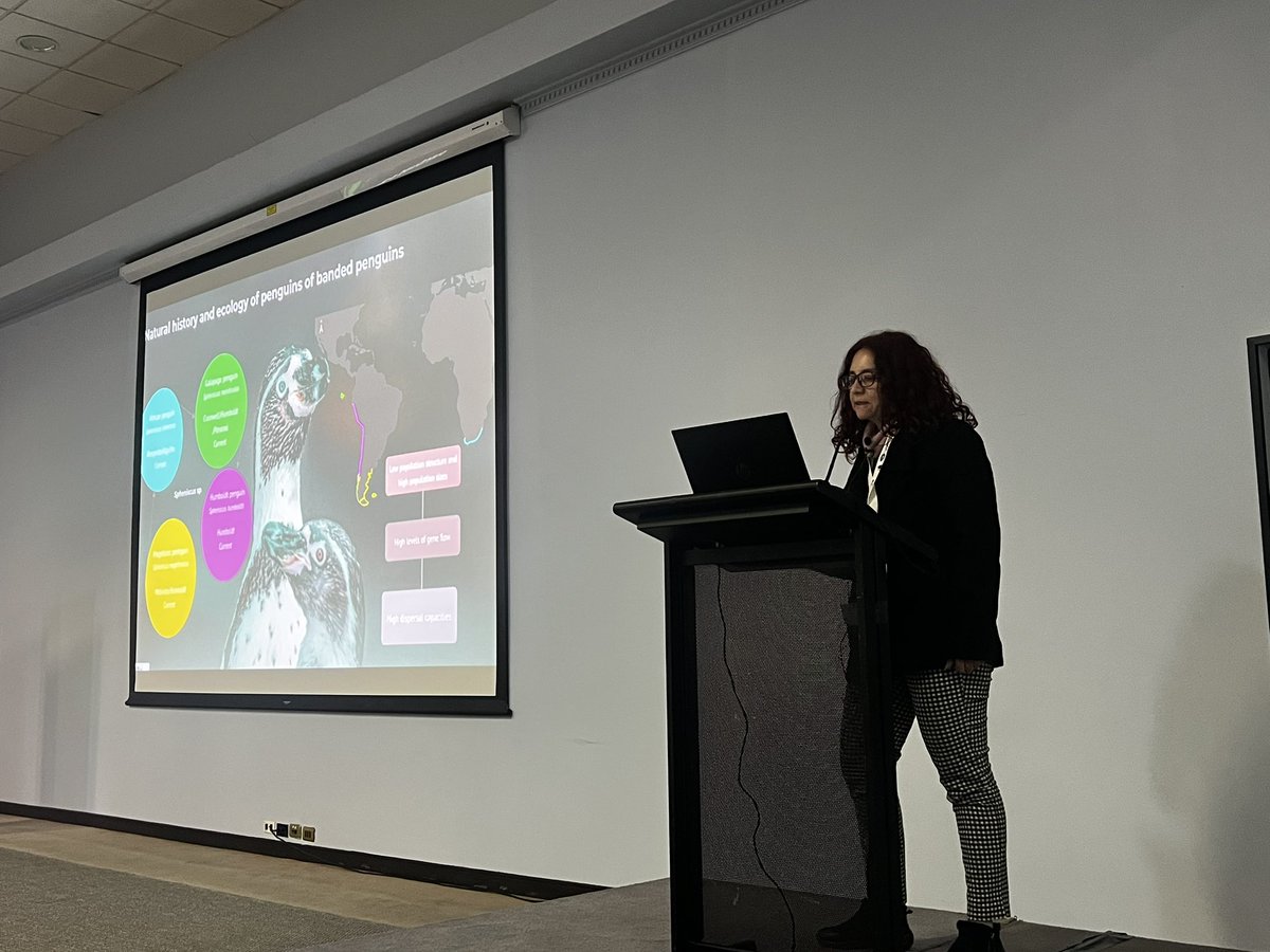 Juliana Vianna tweet media