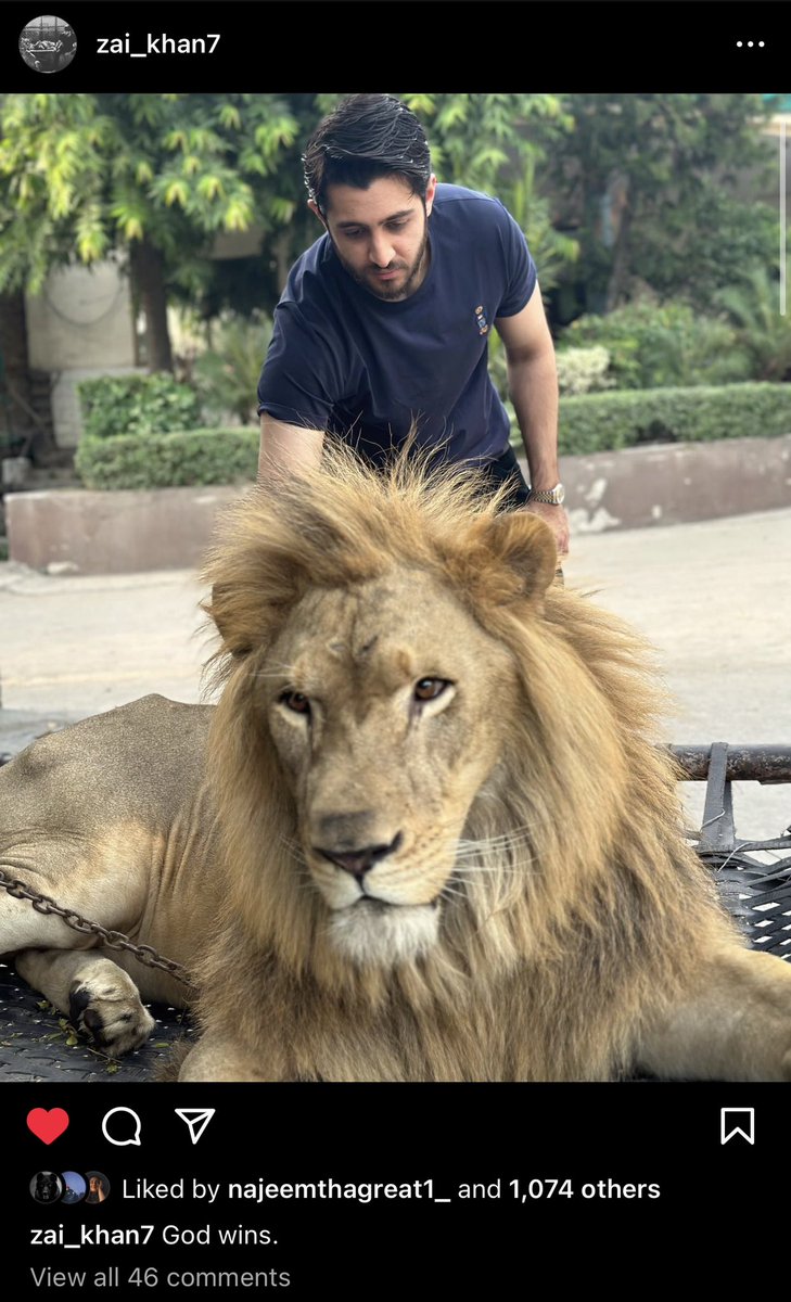 Go follow my insta if you haven’t already!  👑

instagram.com/zai_khan7?igsh…