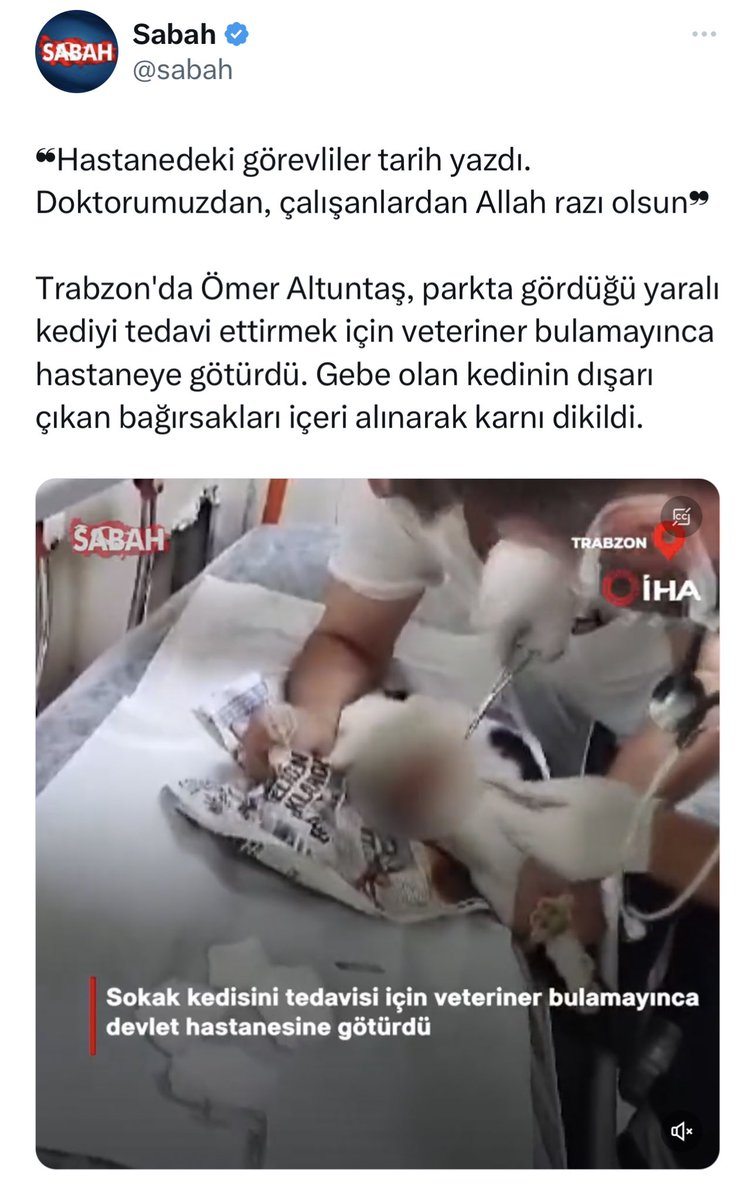 Sedye üzerine gazete kağıdı serilip sözde yarattığınız steril ortamda veteriner hekim olmayan kişiler tarafından anestezi verilmeden yapılan bu işkenceyi Türkiye’nin en ünlü gazetelerinden biri paylaşabiliyorsa mesleğimiz bitmiş demektir. <a href="/trbznVho/">Trabzon Bölgesi Veteriner Hekimleri Odası</a>