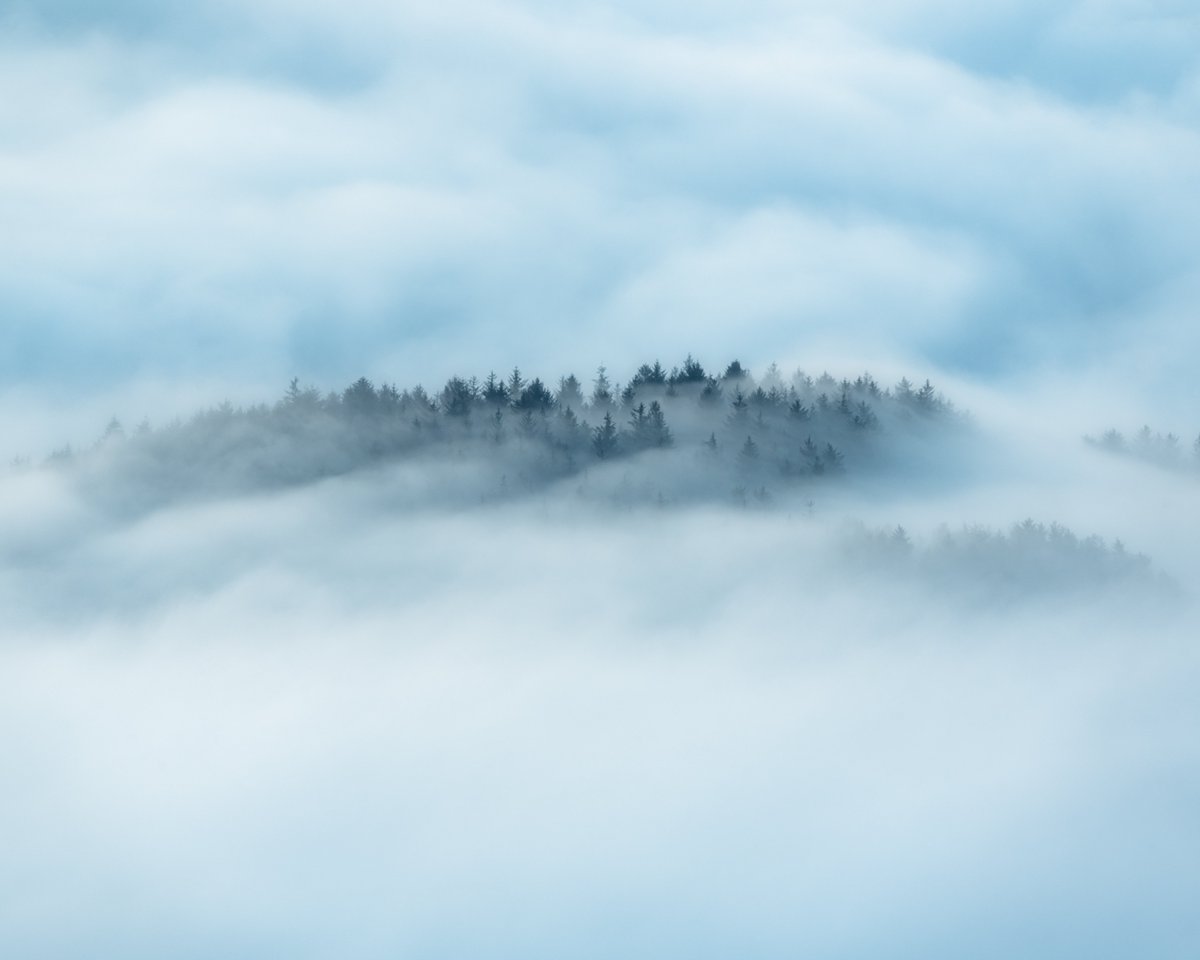 Dannykenealy's tweet image. enigmatic

#fsprintmonday