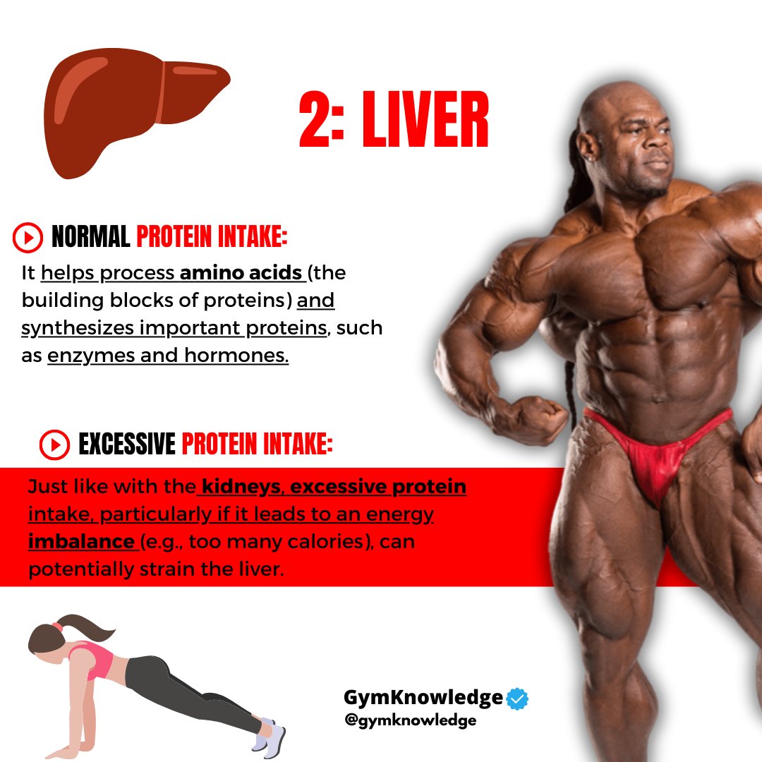 GymKnowledgeOne's tweet image. 🍗 Protein and Your Health 🍗

Ever wondered if too much protein can hurt your kidneys and liver? Let&apos;s break it down: 
#proteinfacts #healthyliving #nutritiontips