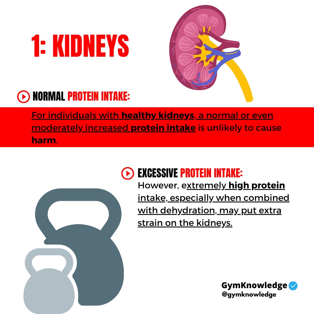 GymKnowledgeOne's tweet image. 🍗 Protein and Your Health 🍗

Ever wondered if too much protein can hurt your kidneys and liver? Let&apos;s break it down: 
#proteinfacts #healthyliving #nutritiontips
