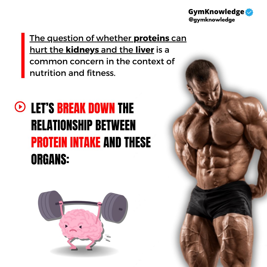 GymKnowledgeOne's tweet image. 🍗 Protein and Your Health 🍗

Ever wondered if too much protein can hurt your kidneys and liver? Let&apos;s break it down: 
#proteinfacts #healthyliving #nutritiontips